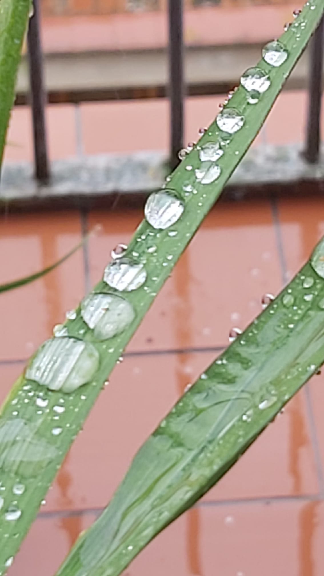 Tiempo de Resilientes